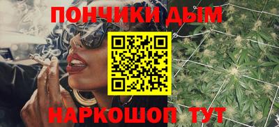 прущие грибы Будённовск
