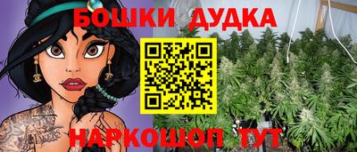 прущие грибы Будённовск