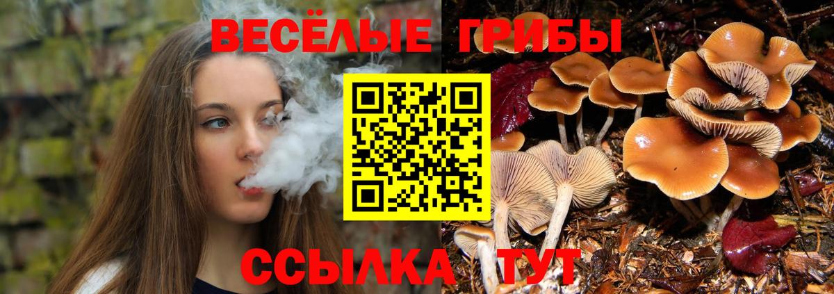 Псилоцибиновые грибы GOLDEN TEACHER  Вход с VPN  Псилоцибиновые грибы Psilocybine cubensis  Лысьва 